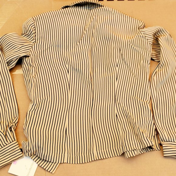 Dressy Tan and Black Stripped Long Sleeves Blouse Silky Reflects Size 2 … - Picture 2 of 4